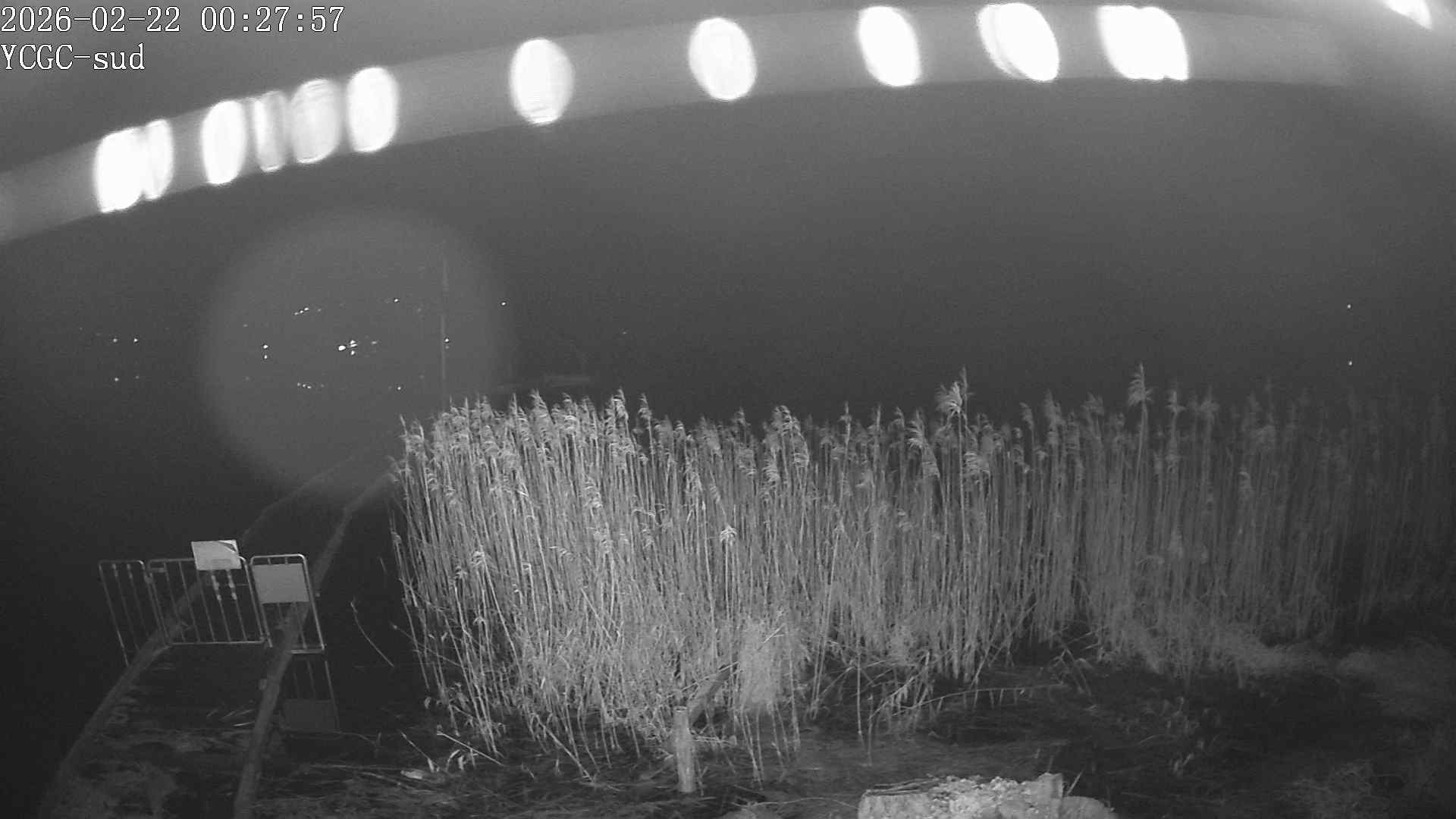 Vue Sud du lac de Paladru