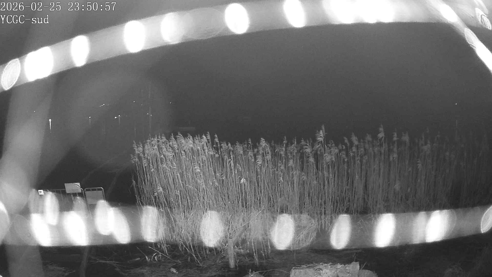 Vue Sud du lac de Paladru