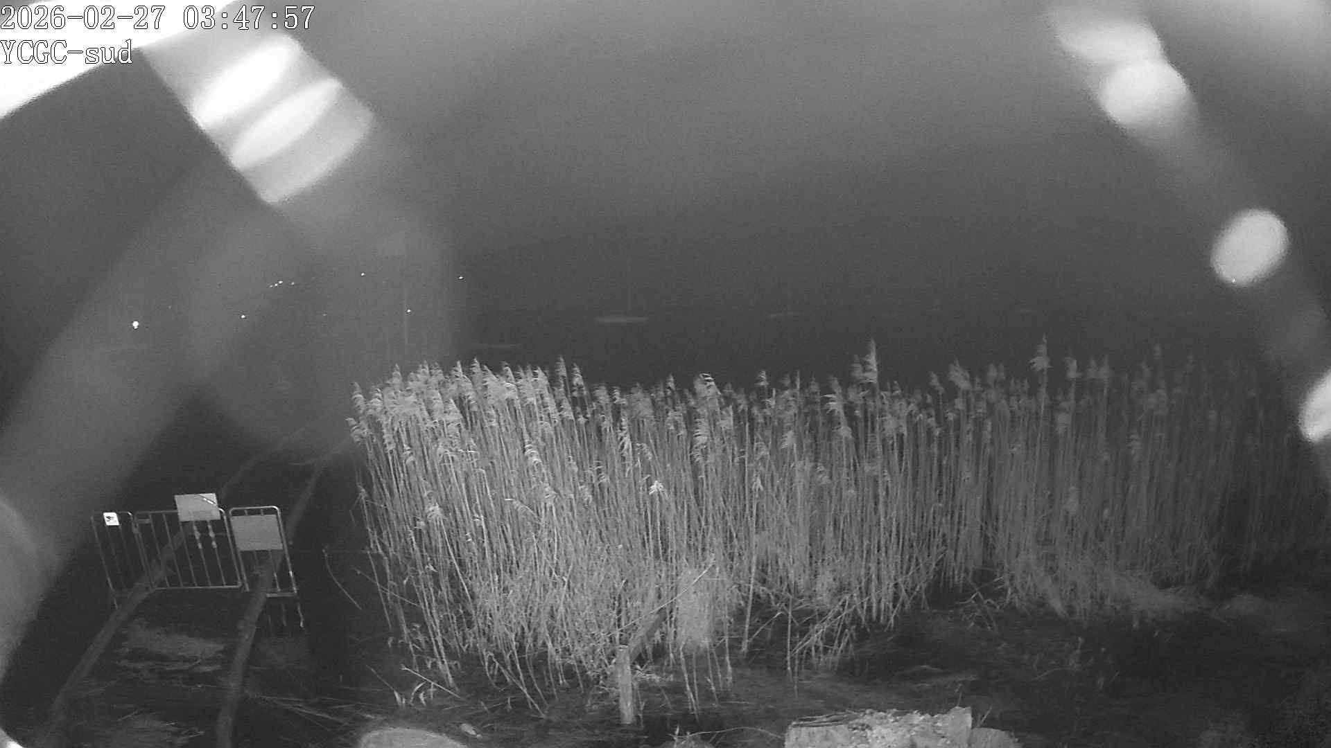 Vue Sud du lac de Paladru